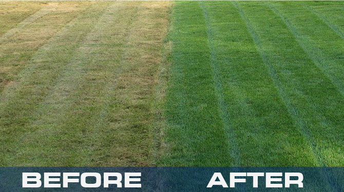 CLEAN & GREEN lawn treatments