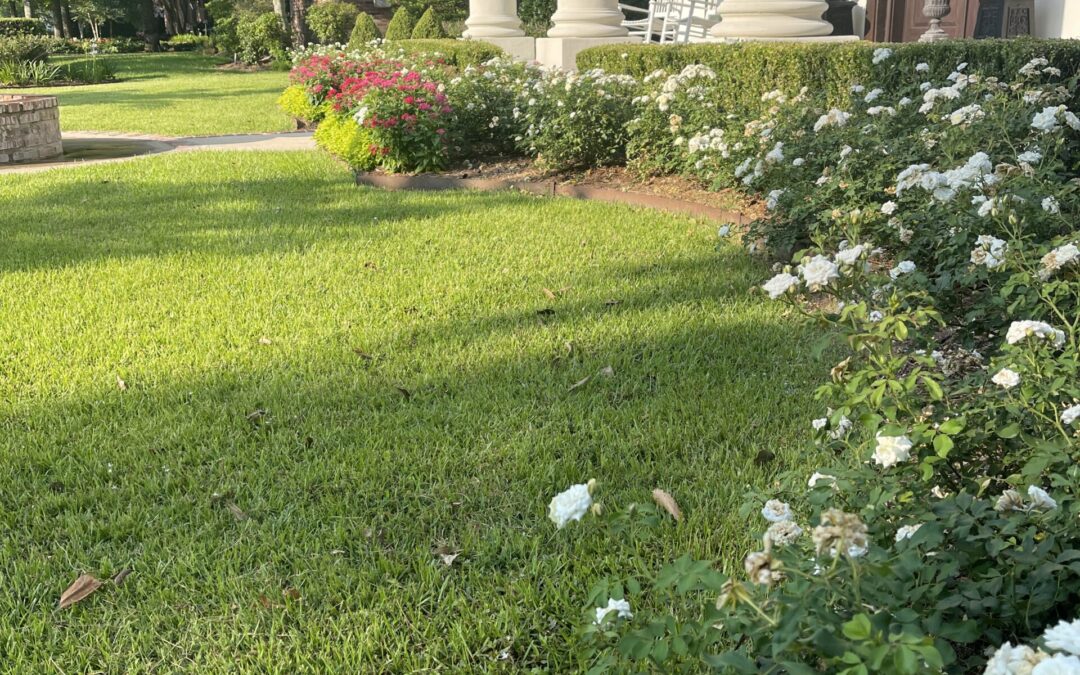 Maximizing Privacy and Tranquility with Landscaping in Lafayette’s Affluent Areas