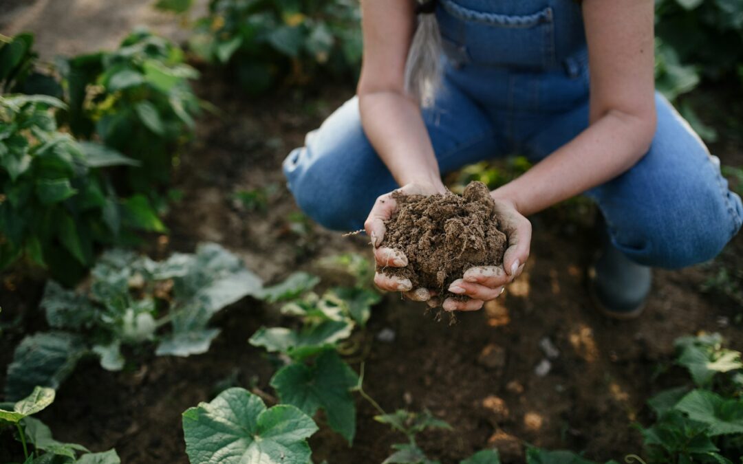 Best Ways to Improve Soil Health