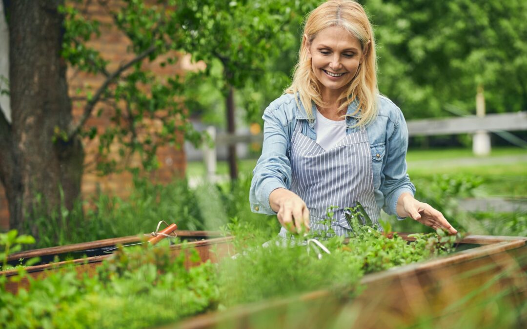 Identifying the Best Fertilizers for a Thriving Garden