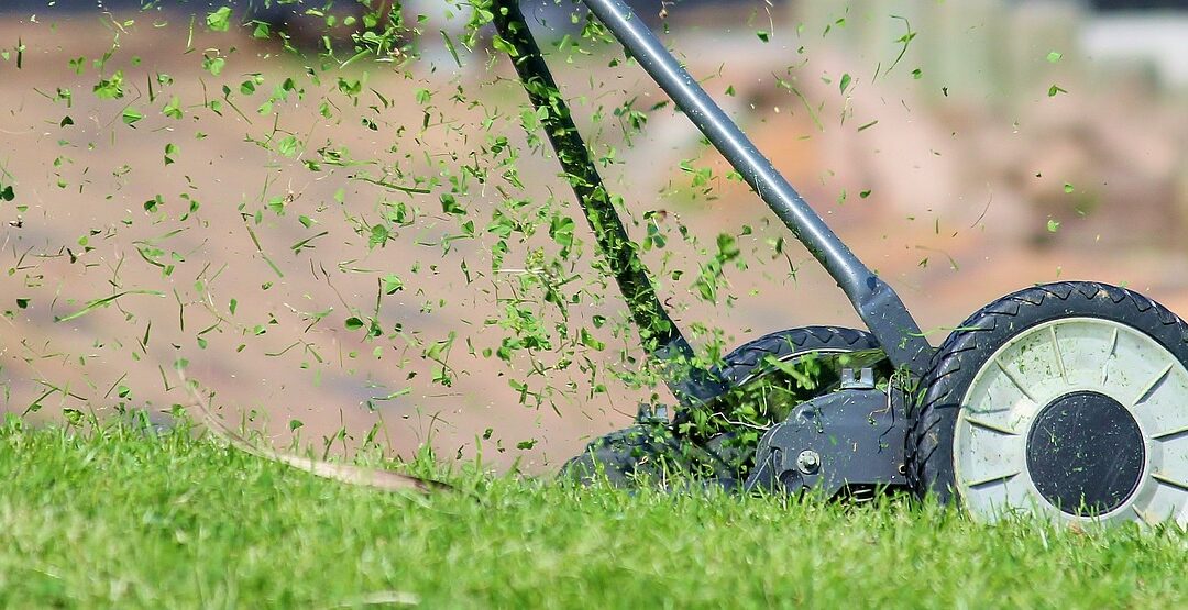 Discover the Best Lawn Care Routine for New Homeowners