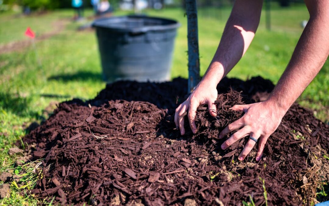 How to Choose the Best Mulch for Your Garden