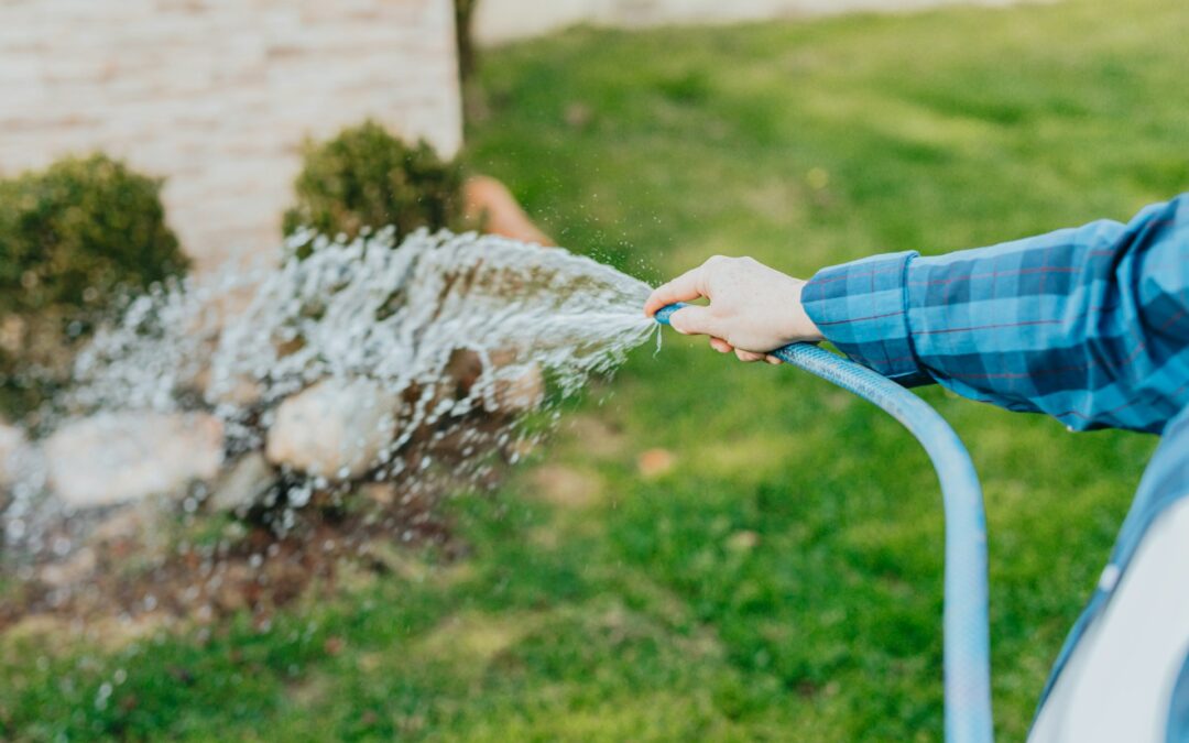 How to Save Water While Keeping Your Garden Happy