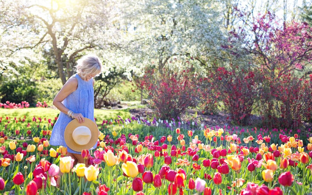 Tips for Seasonal Flower Planting