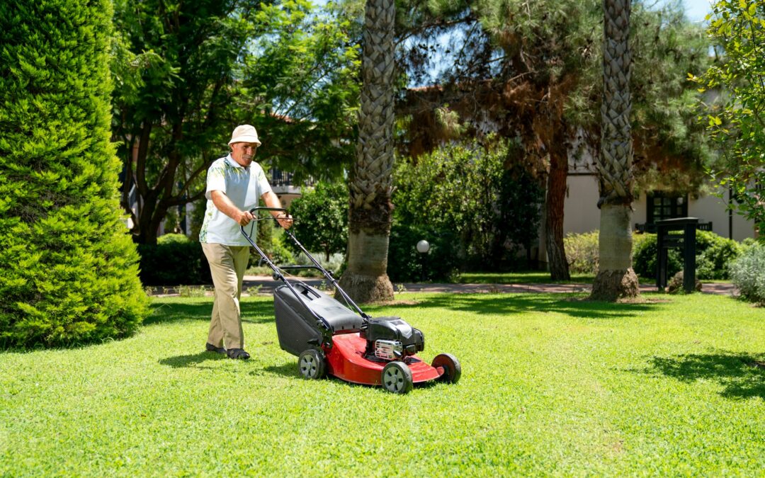 Preparing Your Lawn for Spring Growth with These Clean Up Tips