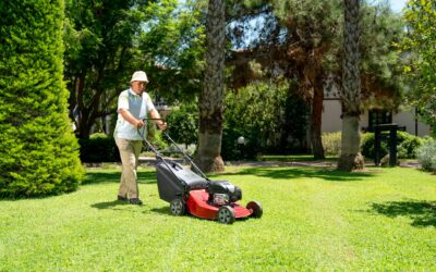 Preparing Your Lawn for Spring Growth with These Clean Up Tips