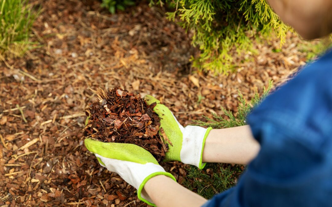 mulching