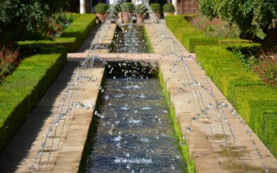Enhancing Yard Aesthetics with Water Features