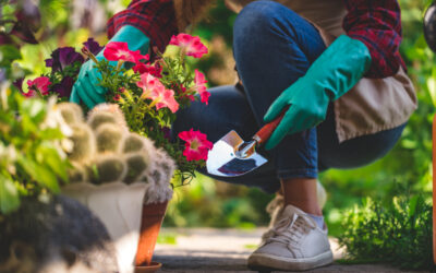 Choosing Textured Plants for a Unique Feel