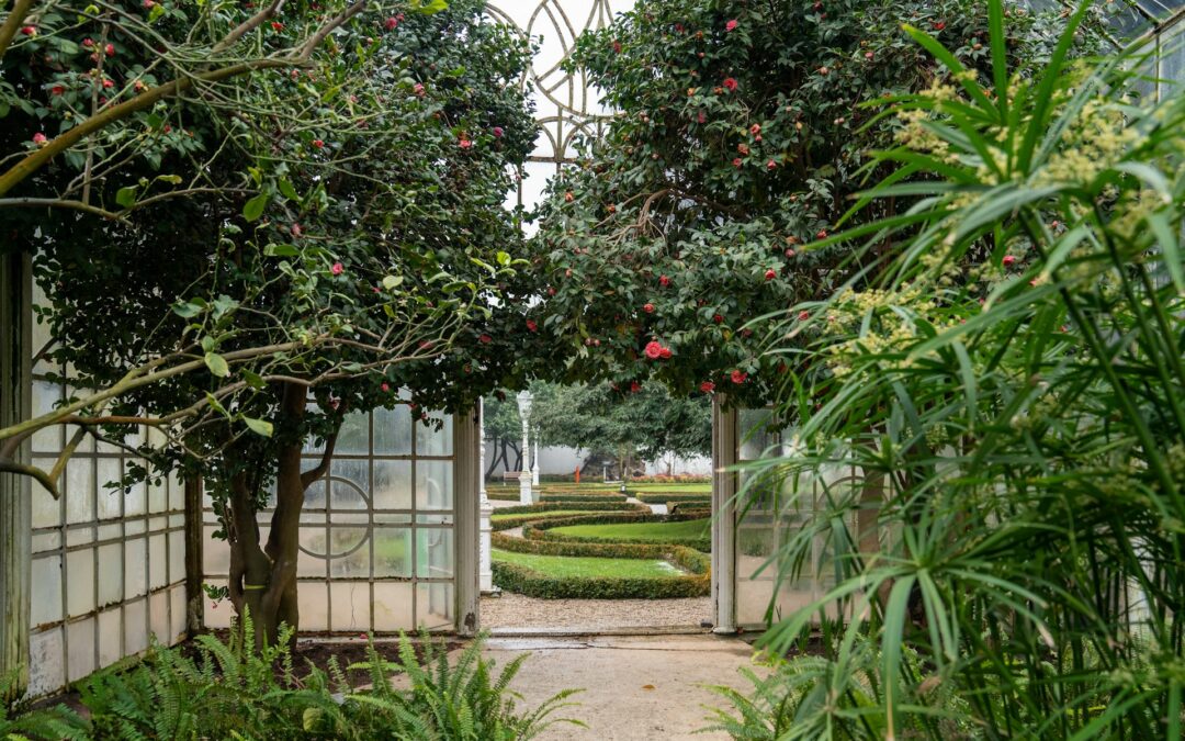 Stimulating Taste: Edible Gardens and Fruit Trees