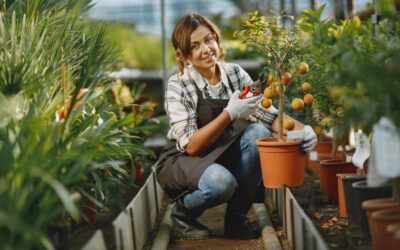 Incorporating All Five Senses into Your Garden