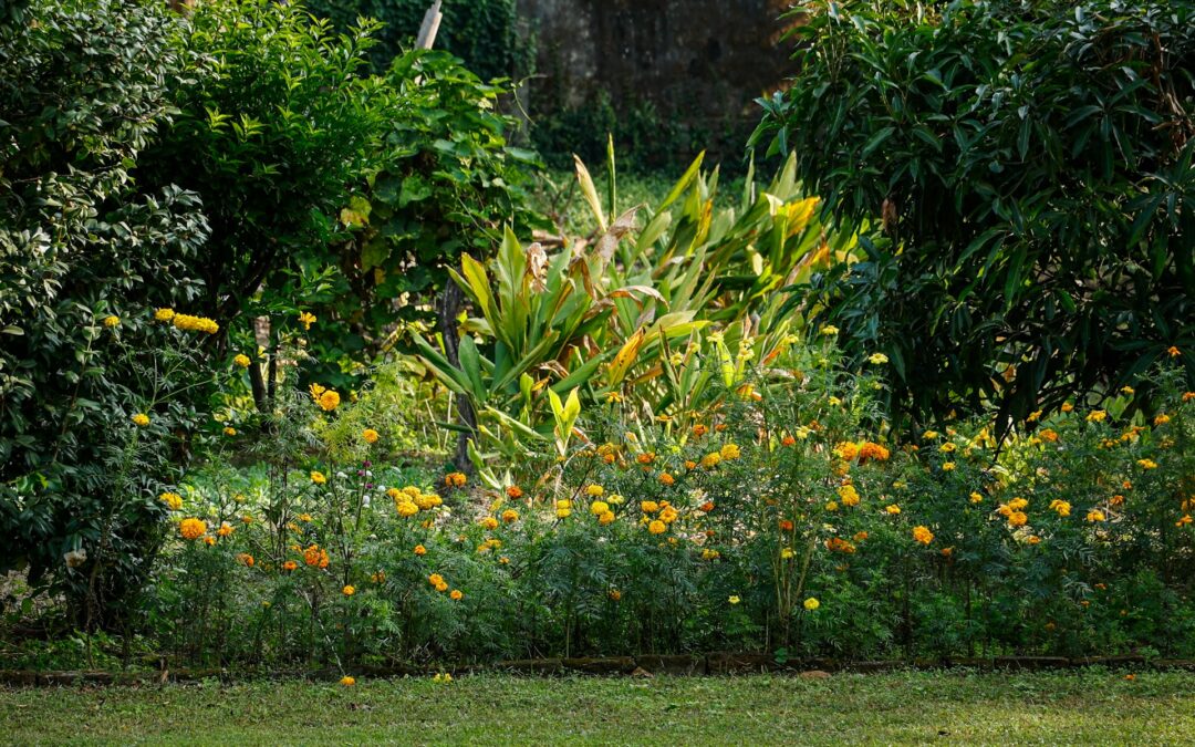 Designing a Visual Feast with Colorful Plants
