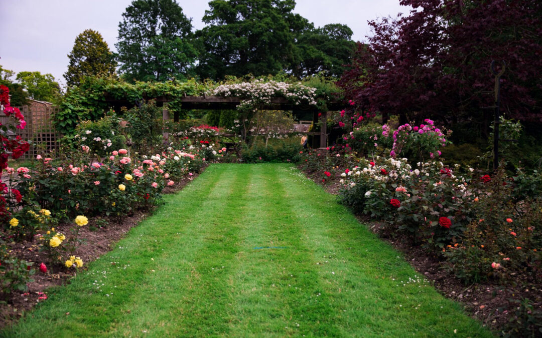 home garden
