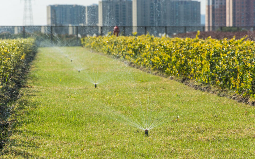 landscape irrigation