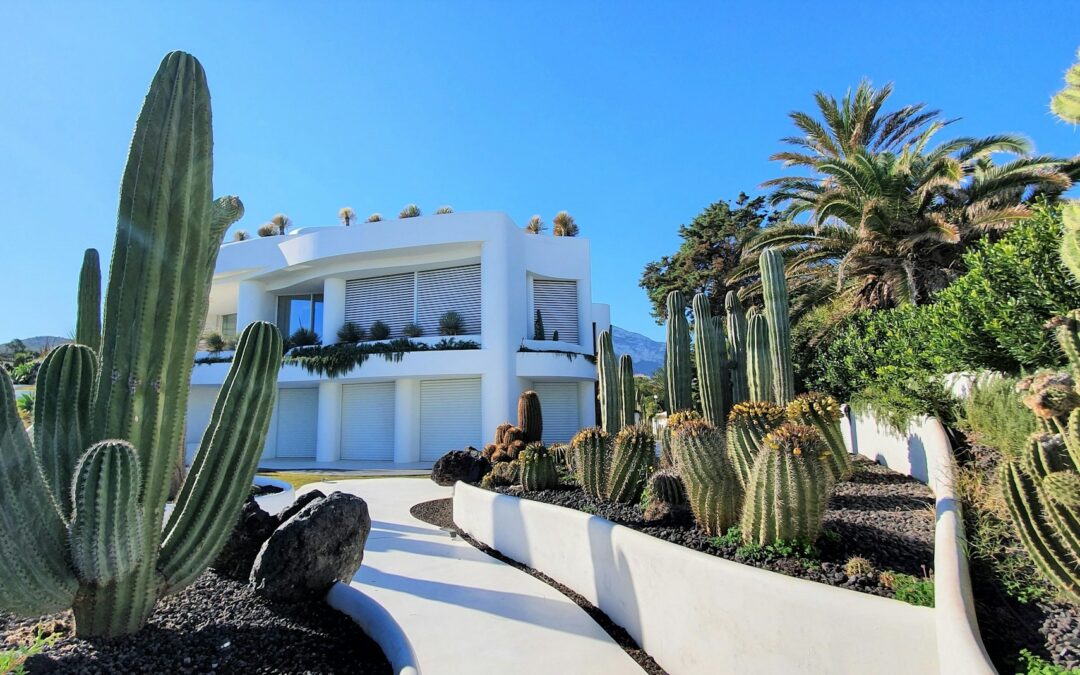 landscaping