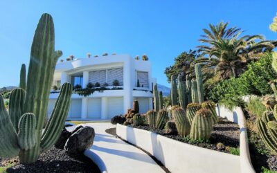 Selecting the Right Elements for a Balanced Landscape