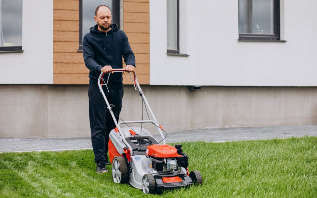 Lawn Maintenance