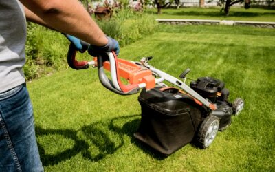 Seasonal Tips for Keeping Your Landscape Healthy
