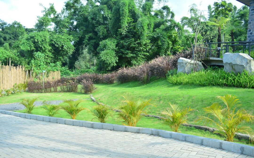 Landscape Drainage