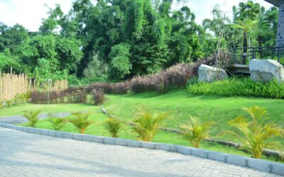 Simple Techniques to Improve Landscape Drainage