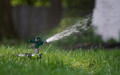 Why Professional Irrigation Installation Outperforms DIY