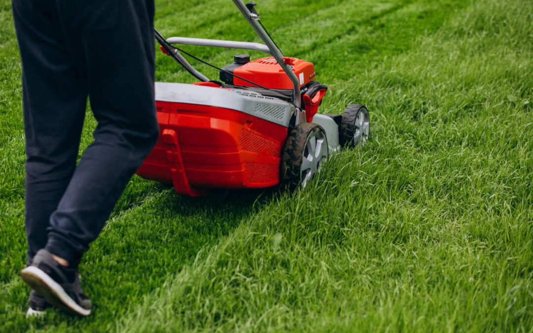 Lawn Aeration and Fertilization