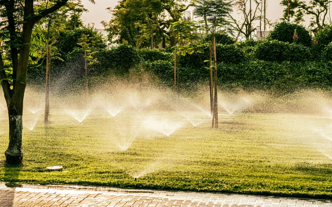 Automating Outdoor Features for Convenience