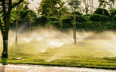 Automating Outdoor Features for Convenience