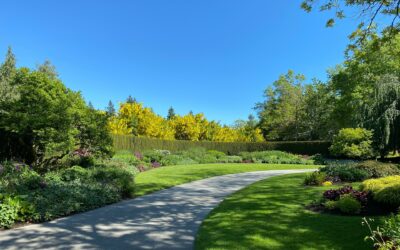 Preparing Your Landscape for the Changing Seasons