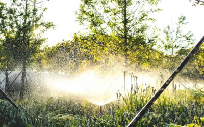 Smart Irrigation Systems for Optimal Watering Efficiency
