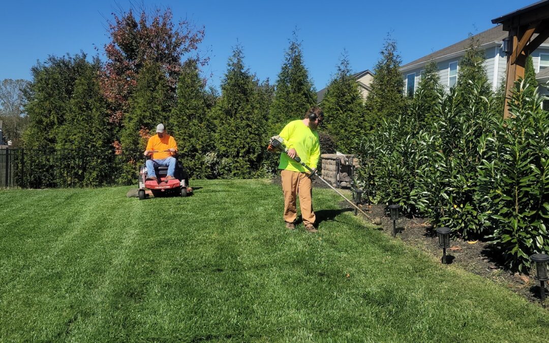 Healthy Lawn Year-Round