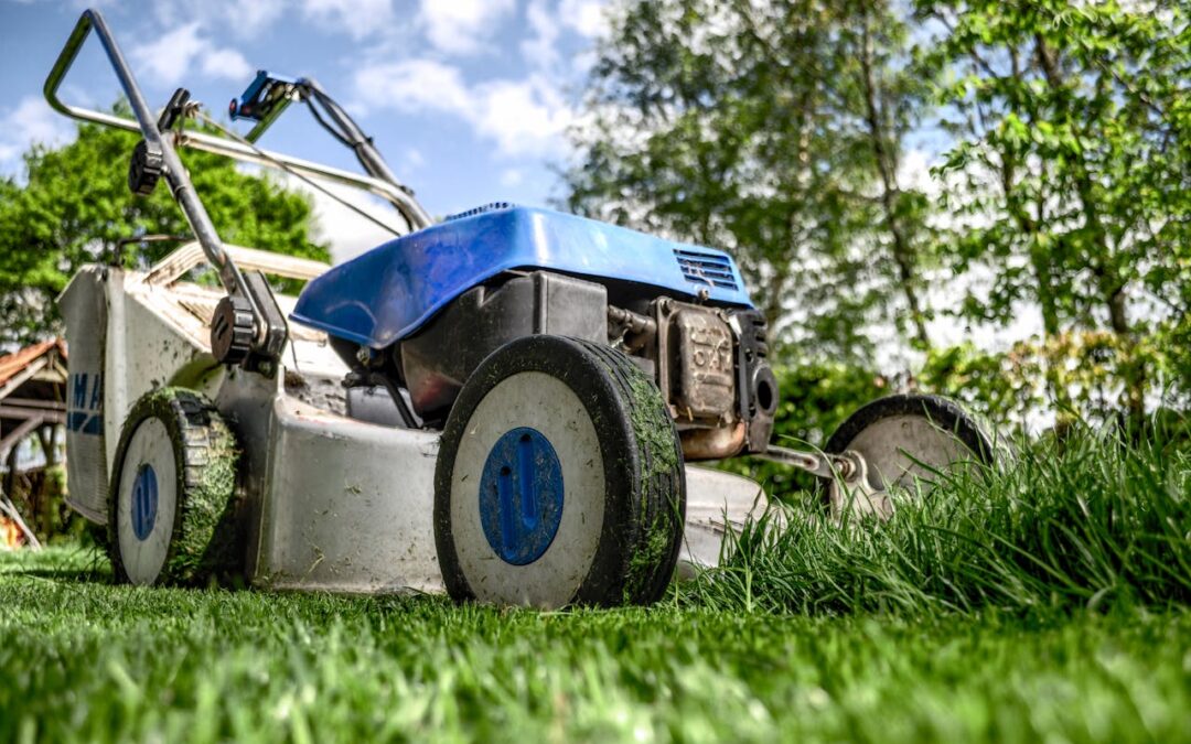 Determining the Right Mowing Height for Healthy Grass