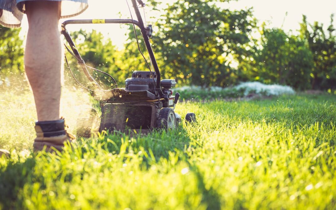 Common Lawn Pests and How to Control Them