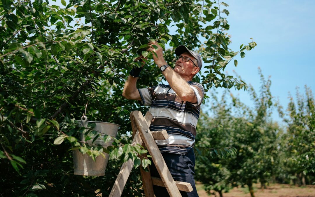 Pruning Techniques