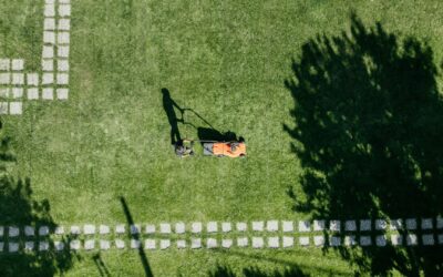 Using Intelligent Design for a Low-Maintenance Garden