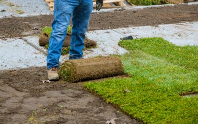How to Choose Area Landscapers Who Understand Local Soil