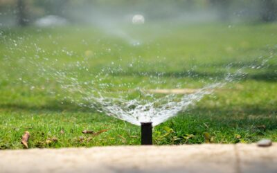 Why Choose Smart Landscaping for Your Property