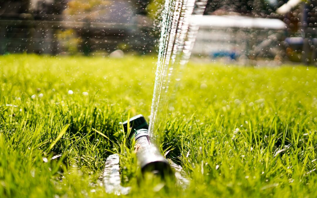Automated Watering Systems