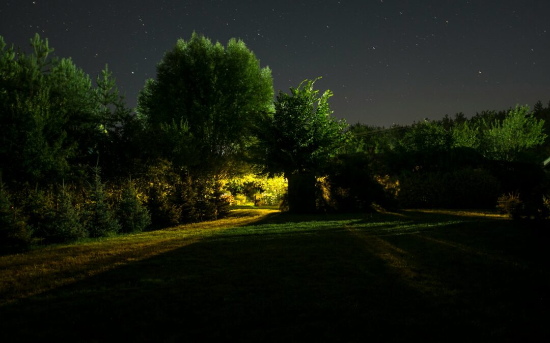 Landscape Lighting