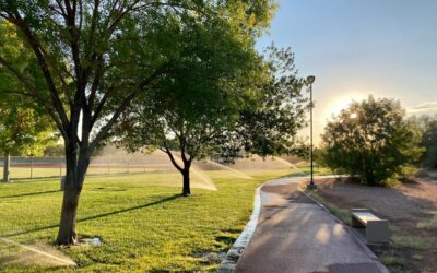 How to Create a Tech-Savvy Landscape Design