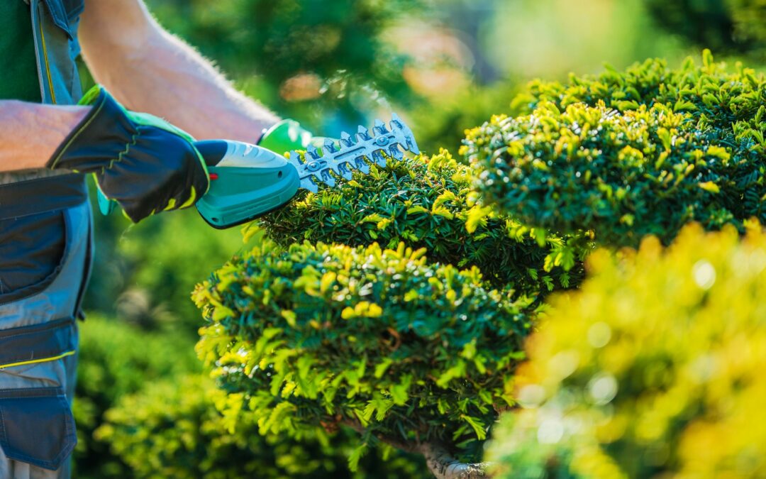 Landscaping