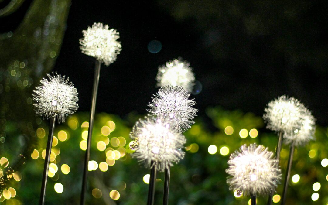 Christmas Lighting