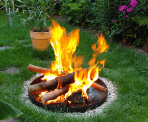 Why Zoysia May Pair Well with Fire Features in Lafayette