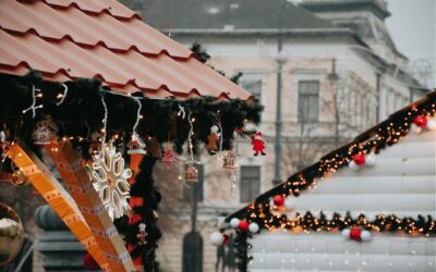 Custom Ideas from Local Christmas Light Contractors in Lafayette