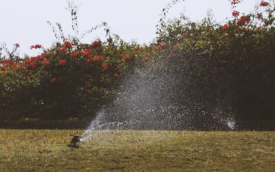 How Drain Irrigation Systems Help Lafayette Homes Manage Water