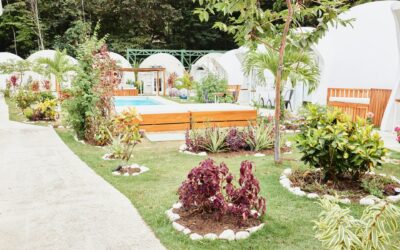 What to Know About Water Drainage for My Home in Lafayette