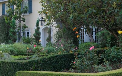 Why Residential Landscaping Matters Even in Winter