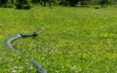 Solving Summer Drainage and Lawn Stress in Lafayette Yards