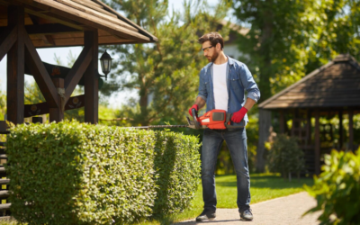 Questions to Ask Before Hiring a Lafayette Landscape Builder