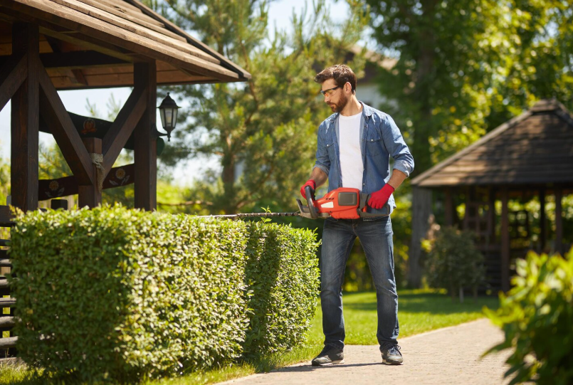 Questions to Ask Before Hiring a Lafayette Landscape Builder